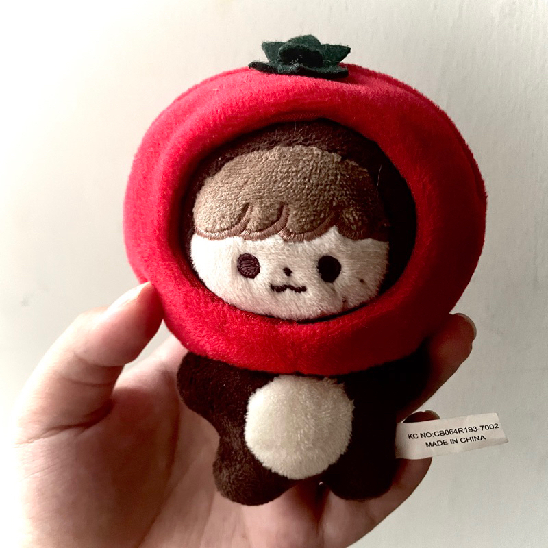 [BOOKED] gomhyogie original haechan doll 10 cm with tomatoes hat and ncit hoodie