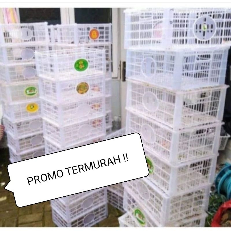 kranjang bekas buah keranjang kemas