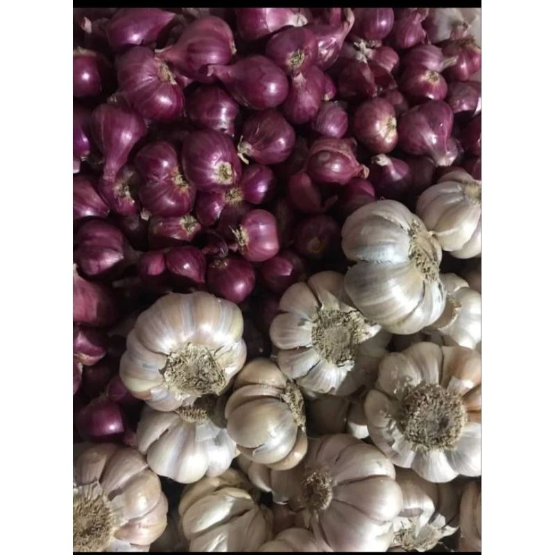 

Bawang merah dan putih