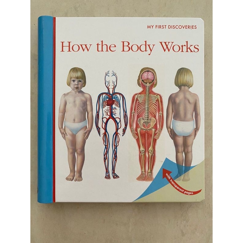 Pelunasan MFD How the Body Works