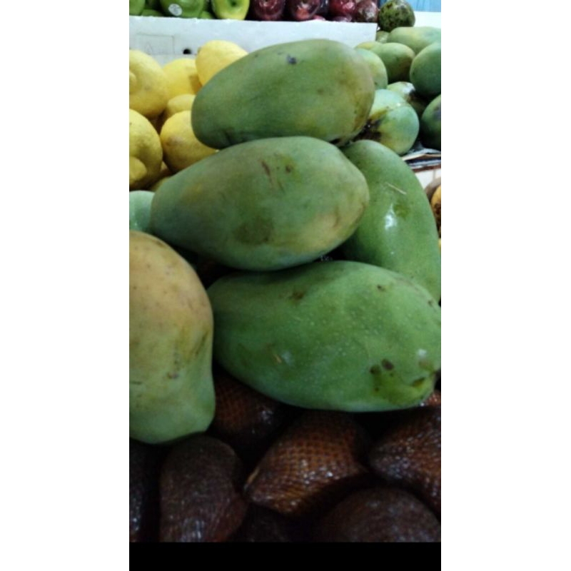 

mangga harum manis 1kg 2-3 buah