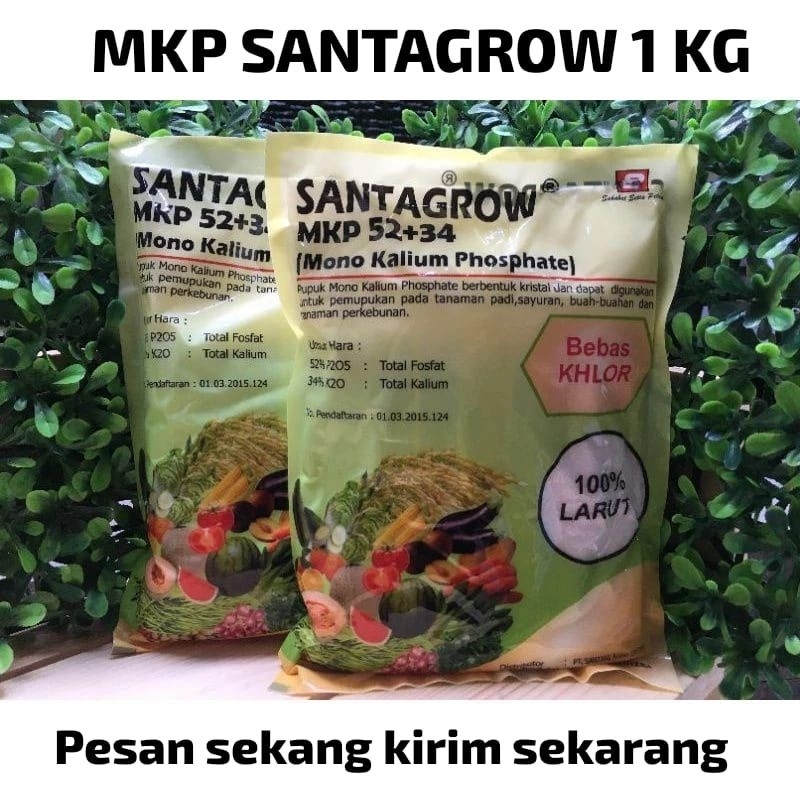 Pupuk Mkp santani santagrow 1 kg