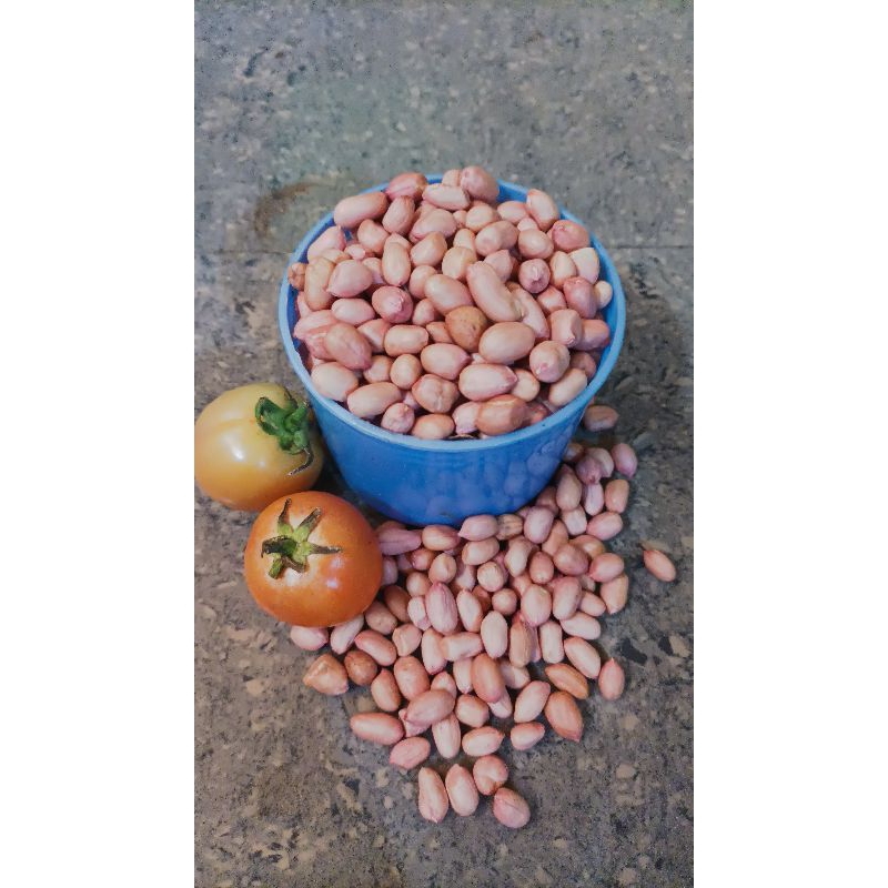 

kacang tanah tanpa kulit