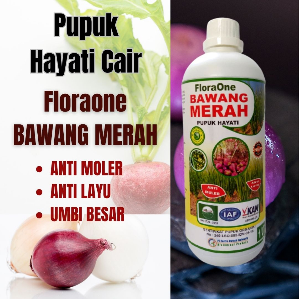 Floraone Pupuk Cair Bawang Merah, Fungisida Untuk Moler Pada Bawang Merah