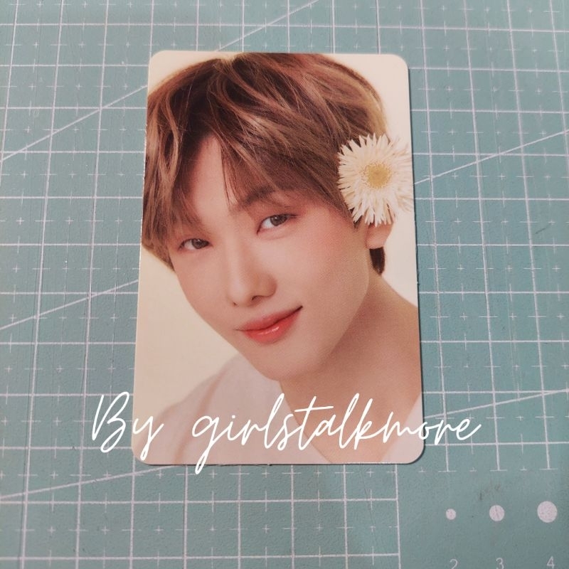 JISUNG CANDYLAB V4 KONSEP