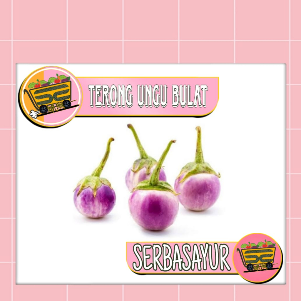 

TERONG BULAT UNGU - GROSIR - SERBASAYUR