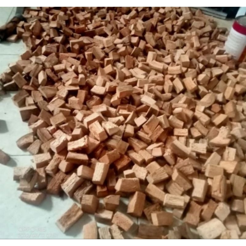 COCOCHIP MEDIA TANAM / COCOCHIP ALAS REPTIL 1KG