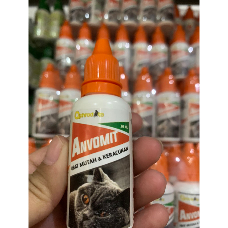 obat muntah dan keracunan kucing