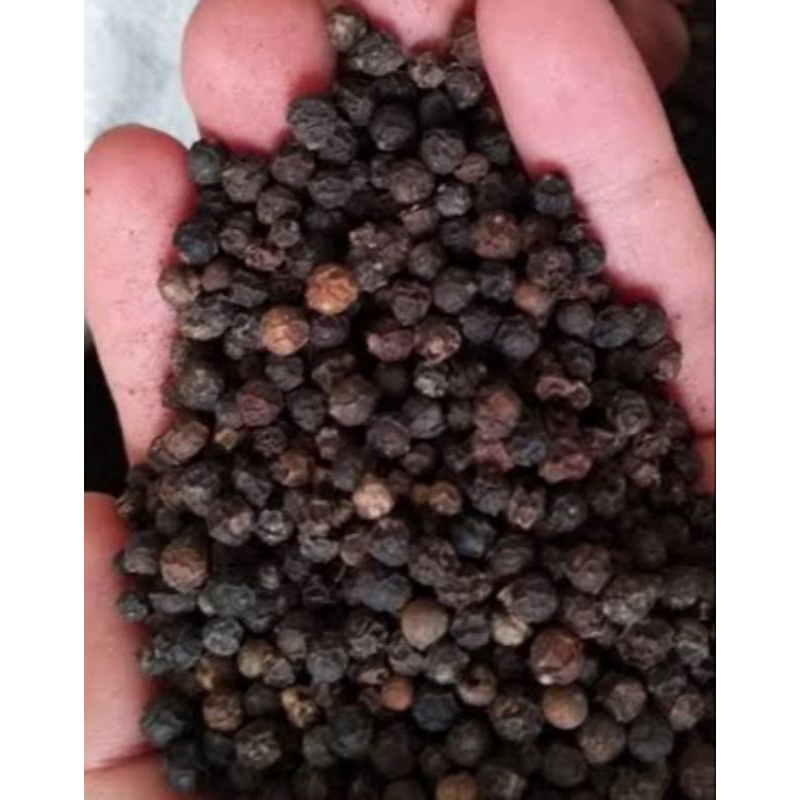 

Merica Hitam Bulat 100gr/ 1 ons