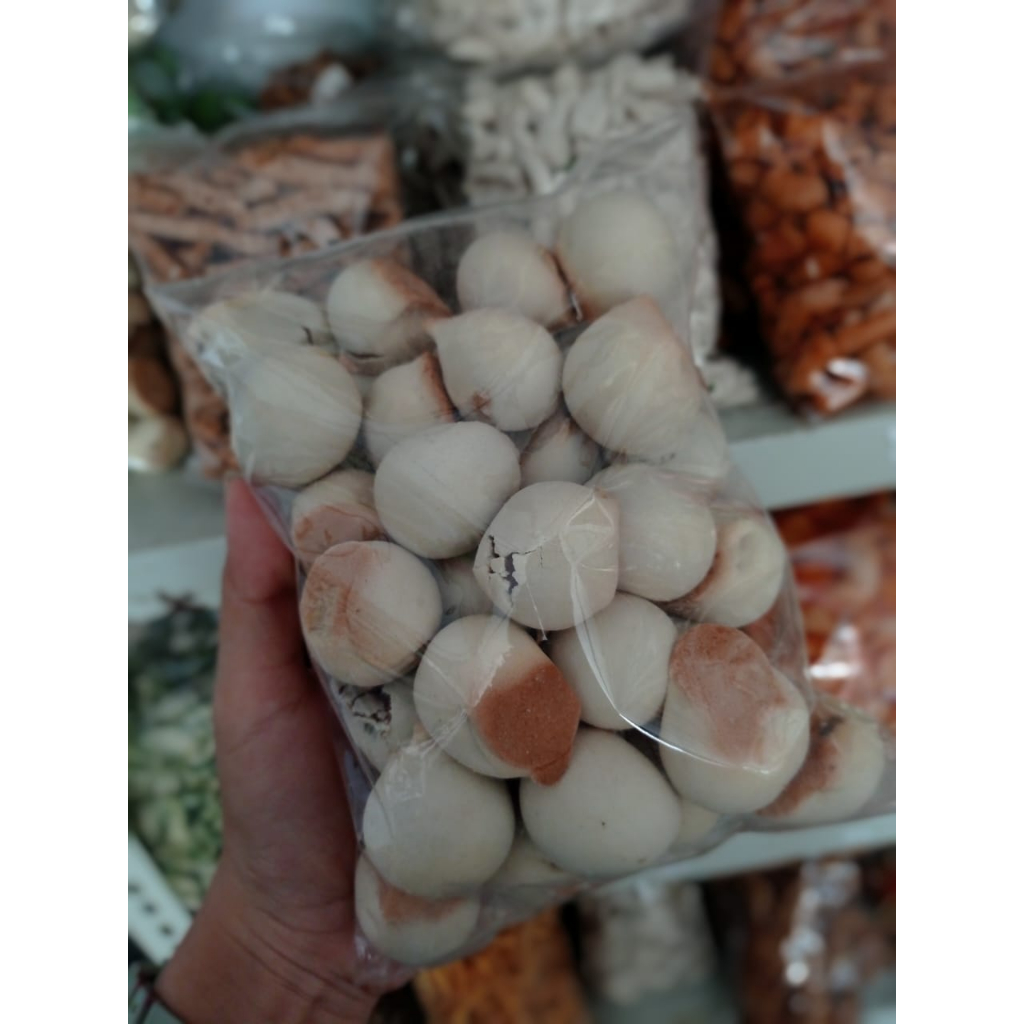 

ndog bulus nopia mini