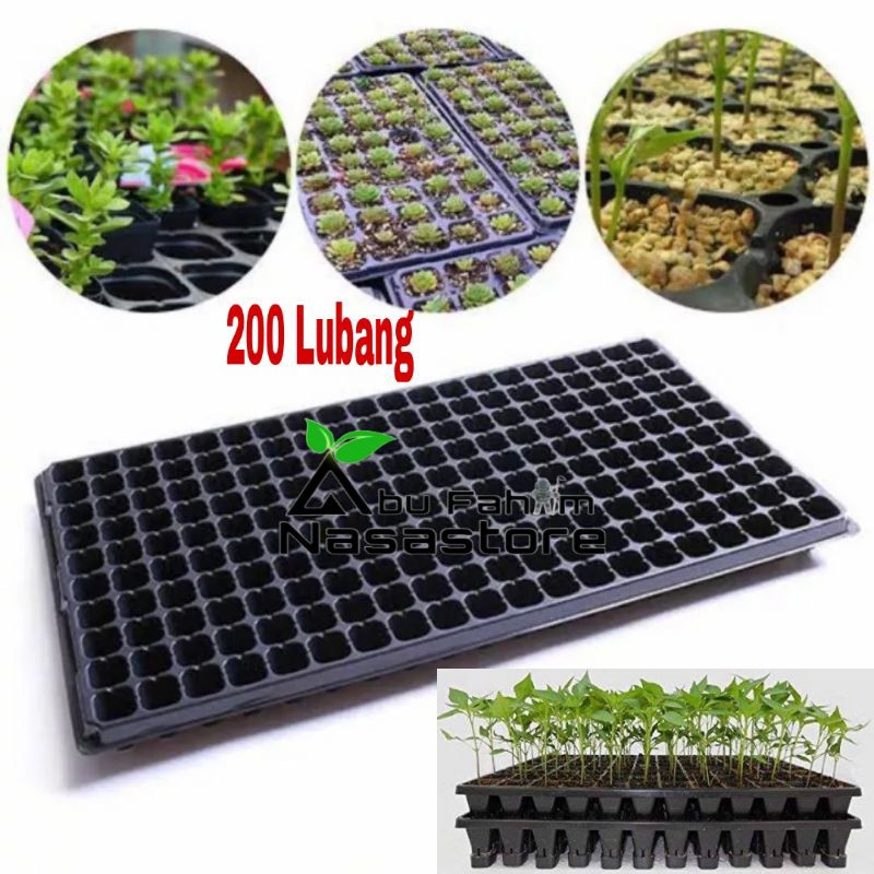 POT TRAY SEMAI BIBIT 200 LUBANG TANAM YANG BIASA / TRAY SEMAI BIBIT TANAMAN