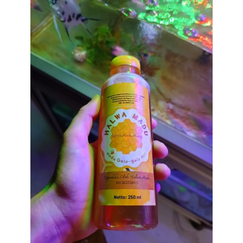 

Halwa Madu, Madu Murni Trigona/ Klanceng/ Galo- galo 250 ml