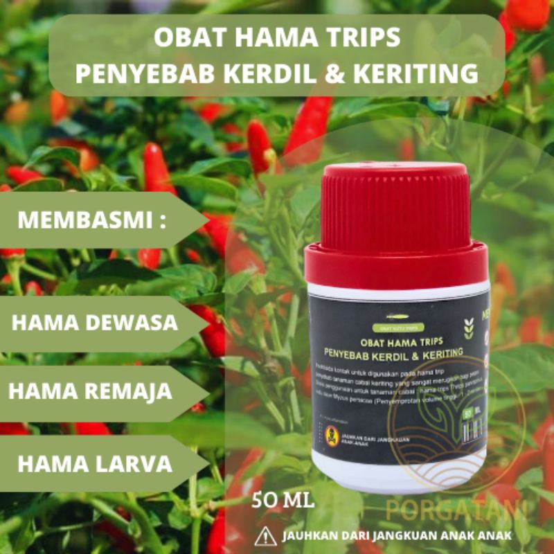 Obat Hama Trips Racun Kontak pembasmi Wereng Kutu Daun trips penyebab kerdil dan keriting Tanaman ca