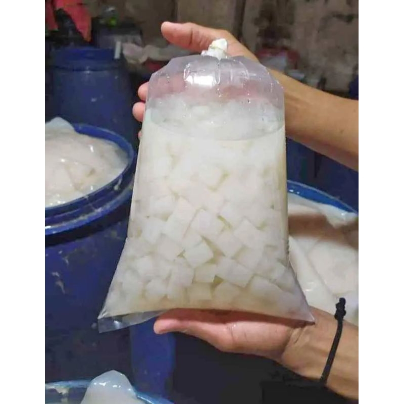 

NATA DE COCO