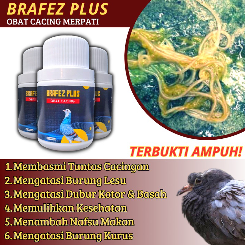 OBAT CACING MERPATI BRAFEZPLUS