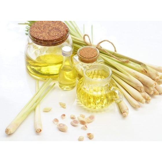 Minyak Sereh Dapur - Lemongrass Essential Oil - Murni