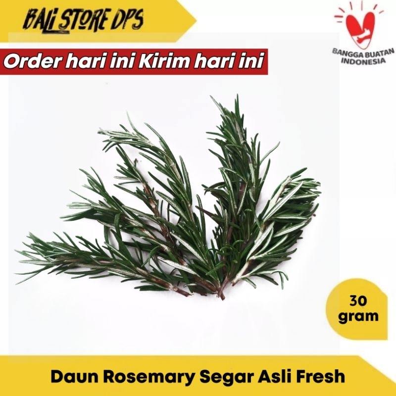 

DAUN ROSEMARY SEGAR 30 GRAM FRESH DENPASAR BALI