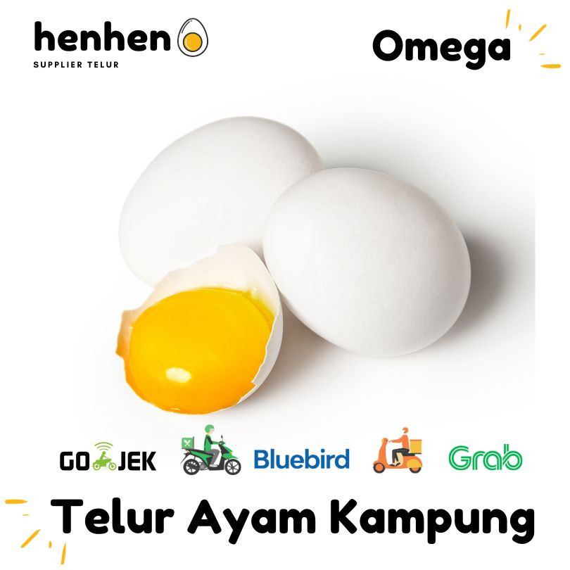 

RB TELUR AYAM KAMPUNG OMEGA 1 PACK (15 BUTIR) SUPPLIER TELUR HEN-HEN
