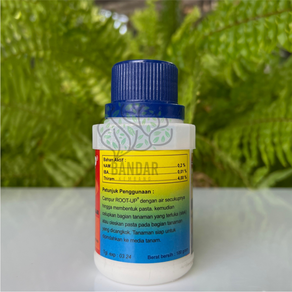 ID ROOT UP HORMON CANGKOK TANAMAN 100GR PERANGSANG AKAR