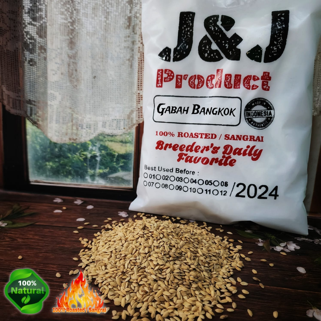GABAH BANGKOK MINI 1KG GABAH PAKAN BURUNG