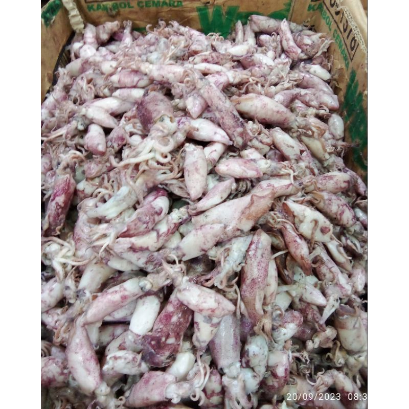 

cumi asin sotong sedang 100gr