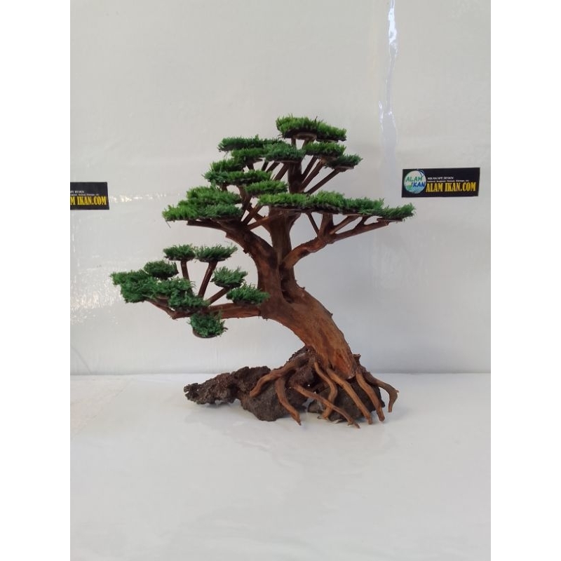 bonsai kayu Aquascape cocok untuk tank 60cm 100cm