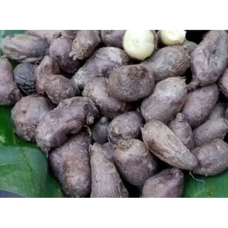 kentang hitam kentang klici kentang Sabrang
