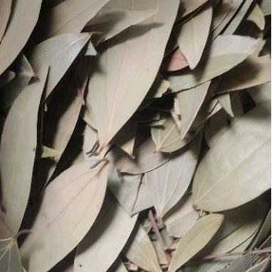 

Bayleaf Daun Salam India Premium Import Daun Kari Murah Aromatik Food Tej Patta Wajaq