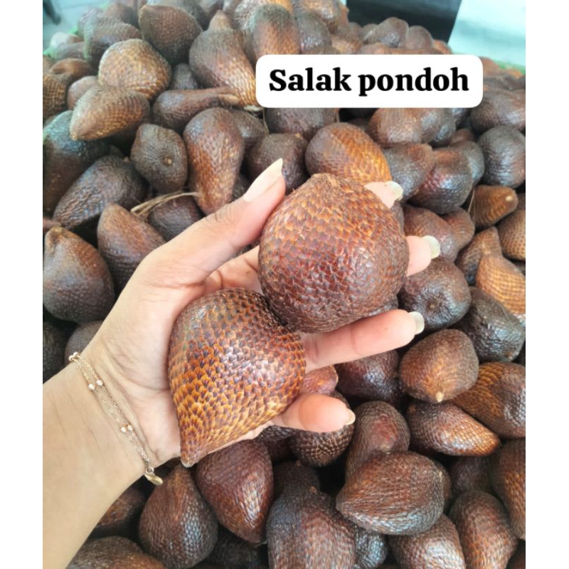 

salak pondoh/buah salak/salak murah