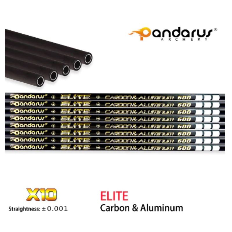 Pandarus Elite X10