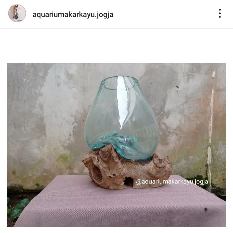 aquarium akar kayu
