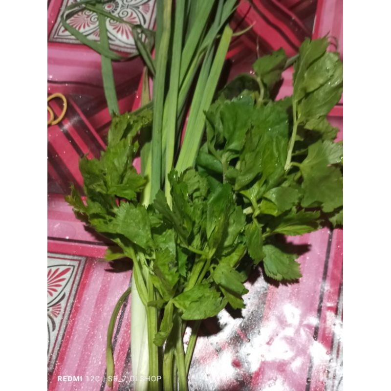 

Daun Sop+ daun Prei/1x pakai 100gr