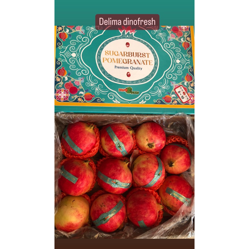 

Delima DinoFresh Size 24 / biji