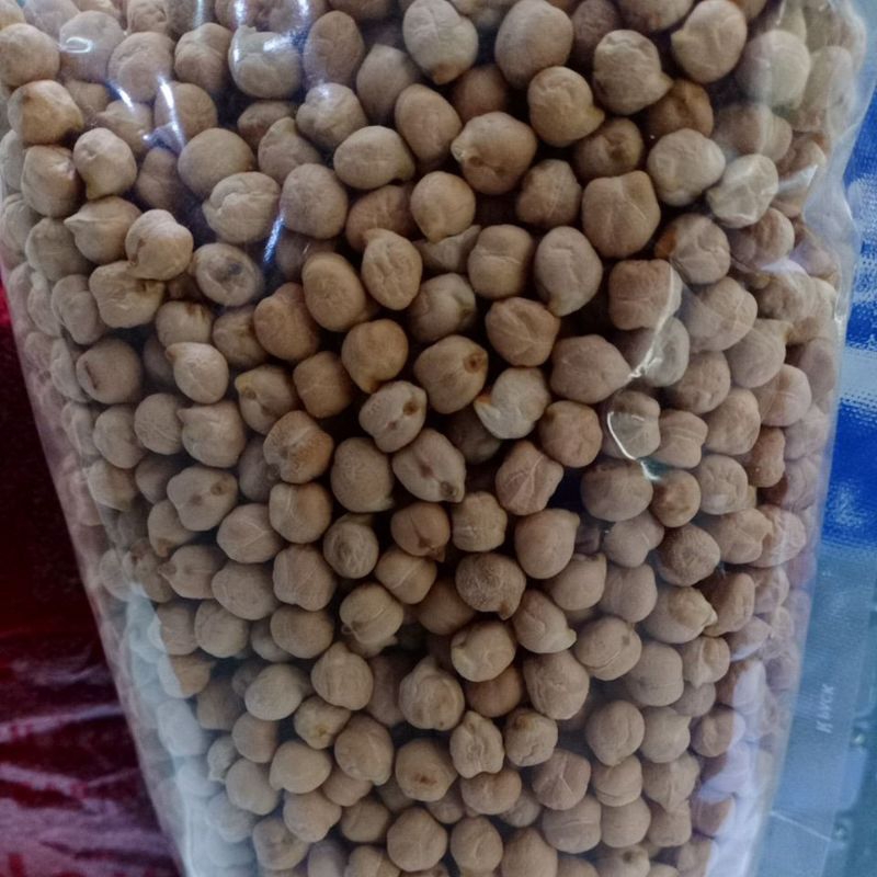 

Kacang Hommus 1 kg