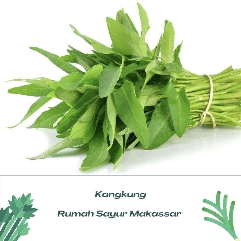 

sayur kangkung segar