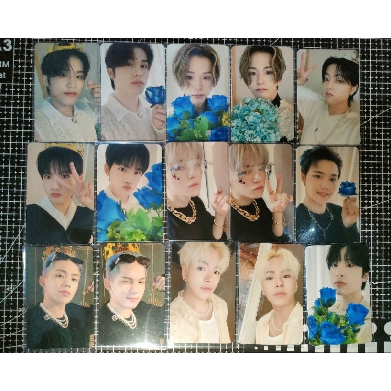 AAB treasure night garden