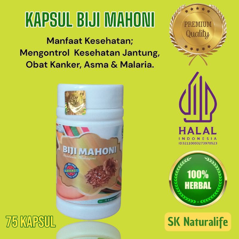 Kapsul Herbal Biji Mahoni
