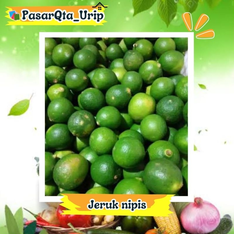 

Jeruk nipis per kantong / Pasar online makassar