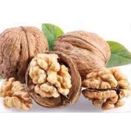 

KACANG WALNUT MENTAH 500GRAM PREMIUM / WALNUT KUPAS / WALNUT MENTAH