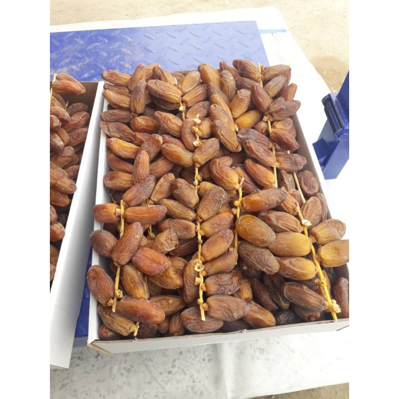 

KURMA TUNIS TANGKAI 500g