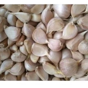 

Bawang Putih Super 500gr