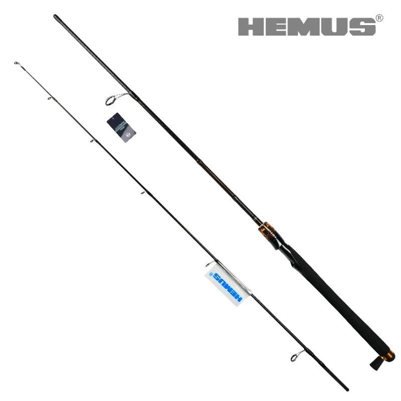 Joran HEMUS NOBUNAGA 602M/MH FUJI ALCONITE