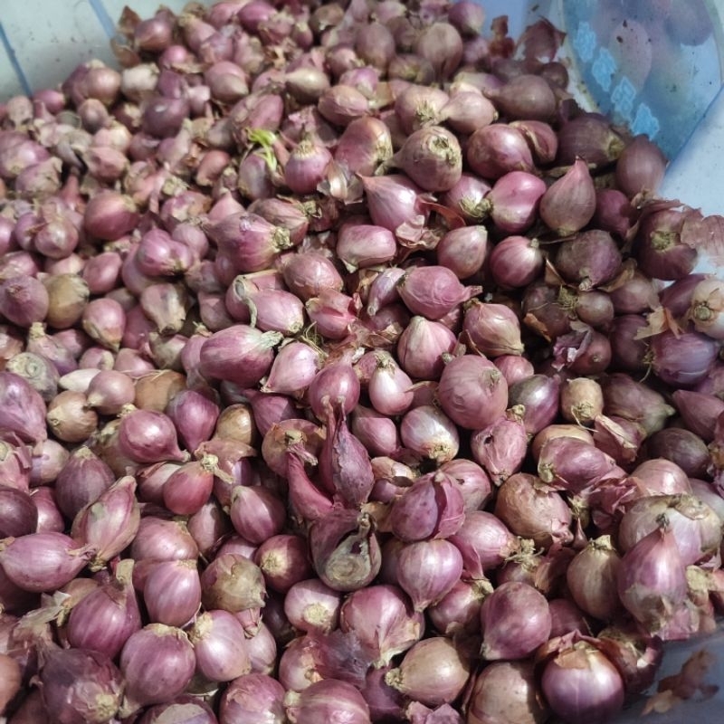 

Bawang Merah brebes 500gr