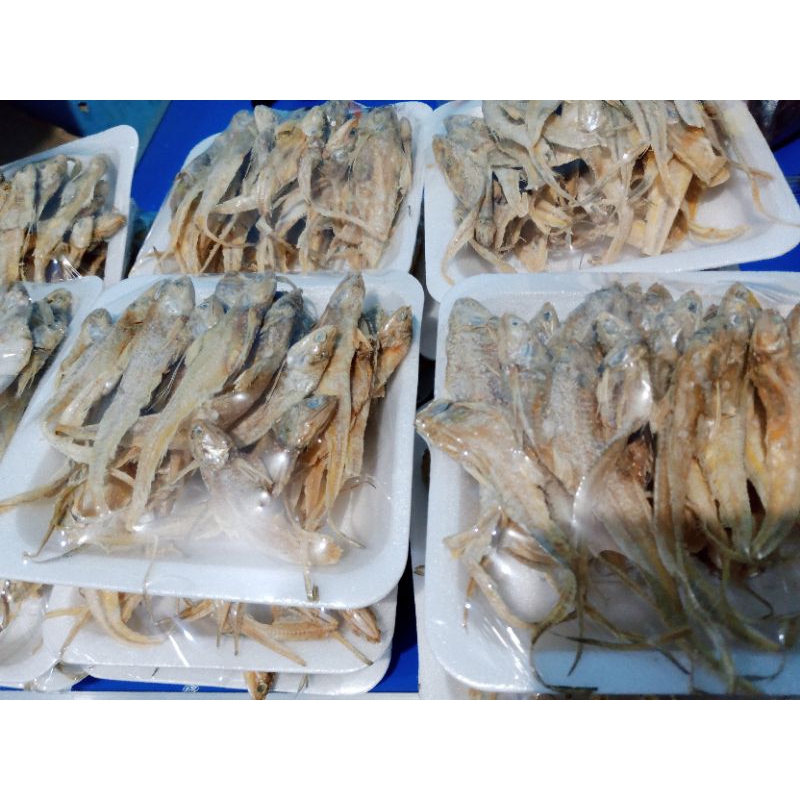 

ikan asin bulu ayam