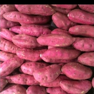 

Ubi Ungu Fresh 500gr