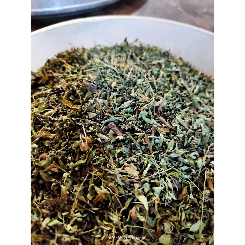 

daun meniran hijau kering