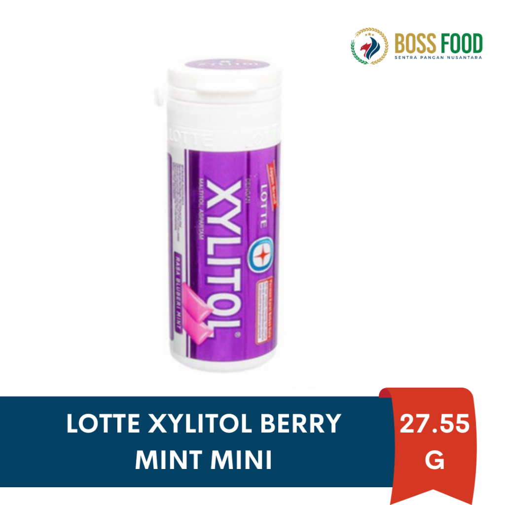 

LOTTE XYLITOL BBERRY MINT MINI 27.55G