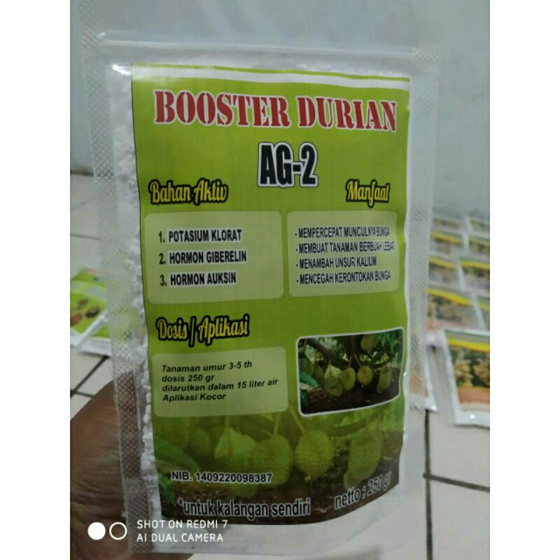 boster durian
