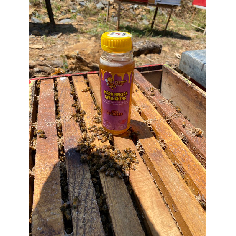 

Madu Kelengkeng 330gr