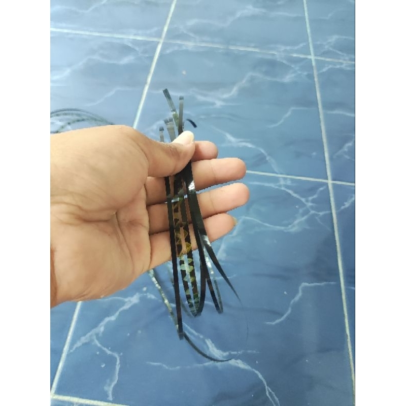 Pita sendaren  piti pitu bugis